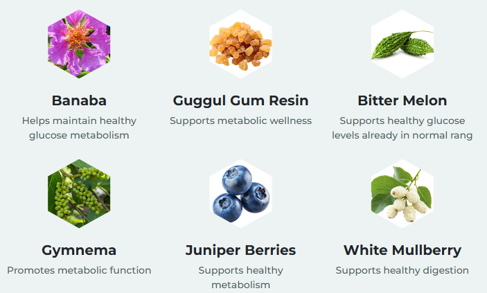 GlycoMute Ingredients