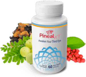Pineal XT Reviews