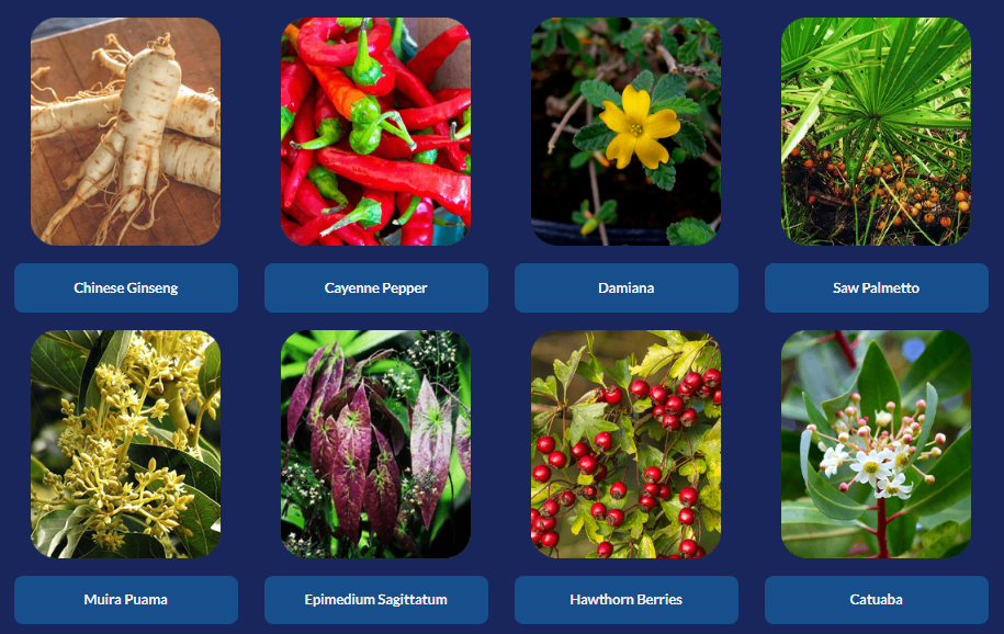 Protoflow Ingredients